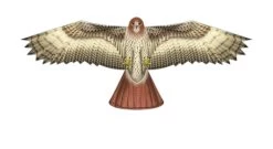 WindnSun Kites - SuperSize "Hawk"