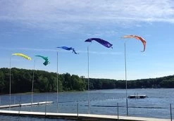 CDG-Dori Pole Merchandise - Pennants Only