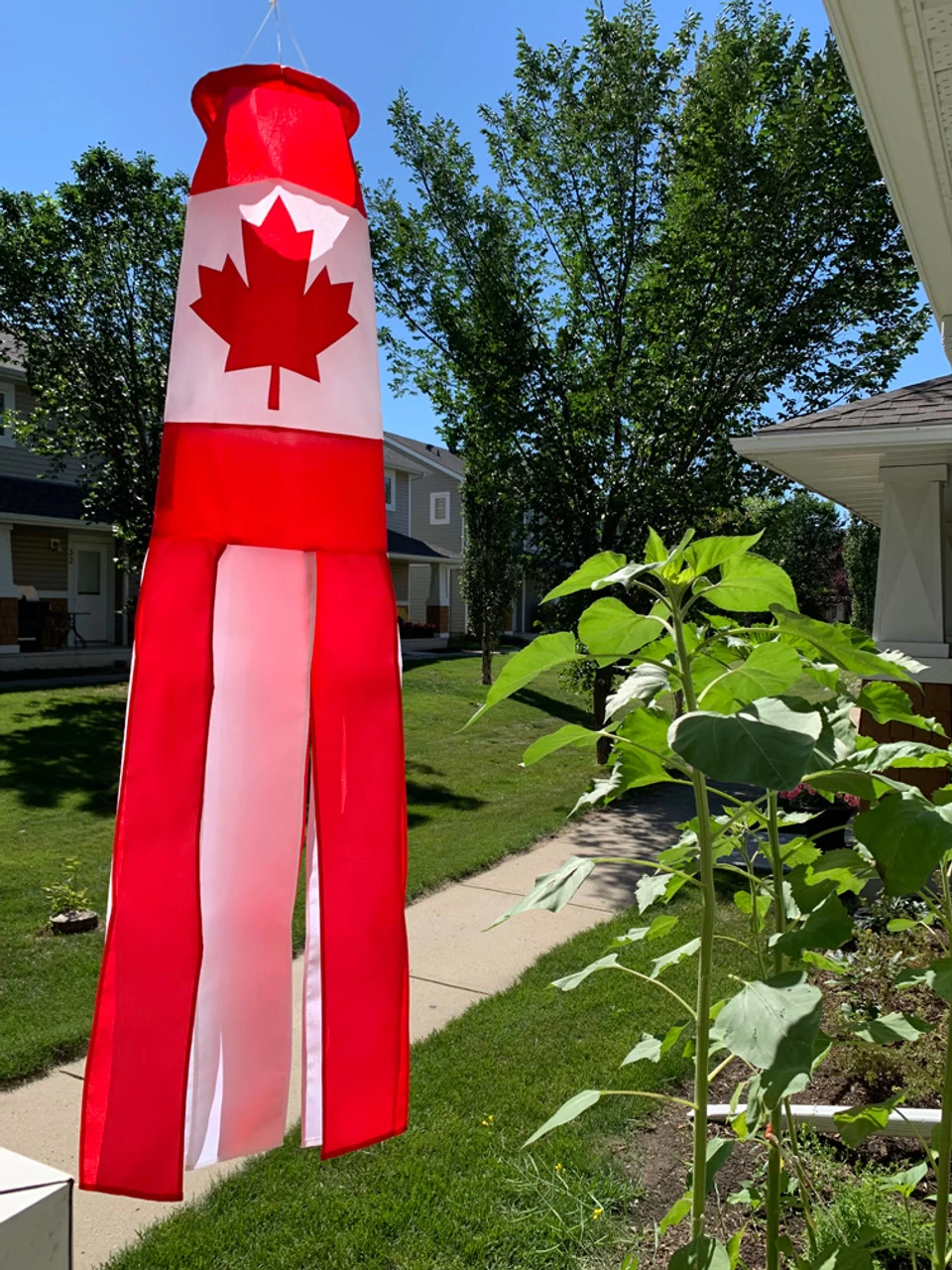 Wind Play Shop -Wind Play Shop Canada windsock Lo 45253.1673736036