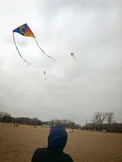 Gomberg Kites - Fun Delta 40" -Wind Play Shop TWW moon sun 13536.1617133016