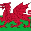 Wales Flag 36" X 60" Poly "Durable Quality" -Wind Play Shop flag uk wales 96484.1608839733