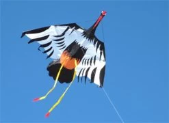 Flying Wings- Crane