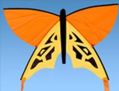 Flying Wings - Butterfly