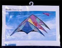 Flying Wings - Beetle Train Lines