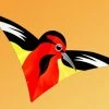 Gomberg Kites - Gom-Birds "Oriole" -Wind Play Shop gk Oriole 01930.1488575655
