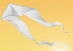 Gomberg Kites - Ghost Delta 11' X 35' Green