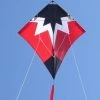 Gomberg Kites - Starburst Stunt Kite "Green" -Wind Play Shop gk starburst red 74465 94622.1421908169