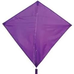 HQ Kites - Eco Line Eddy Purple 70cm