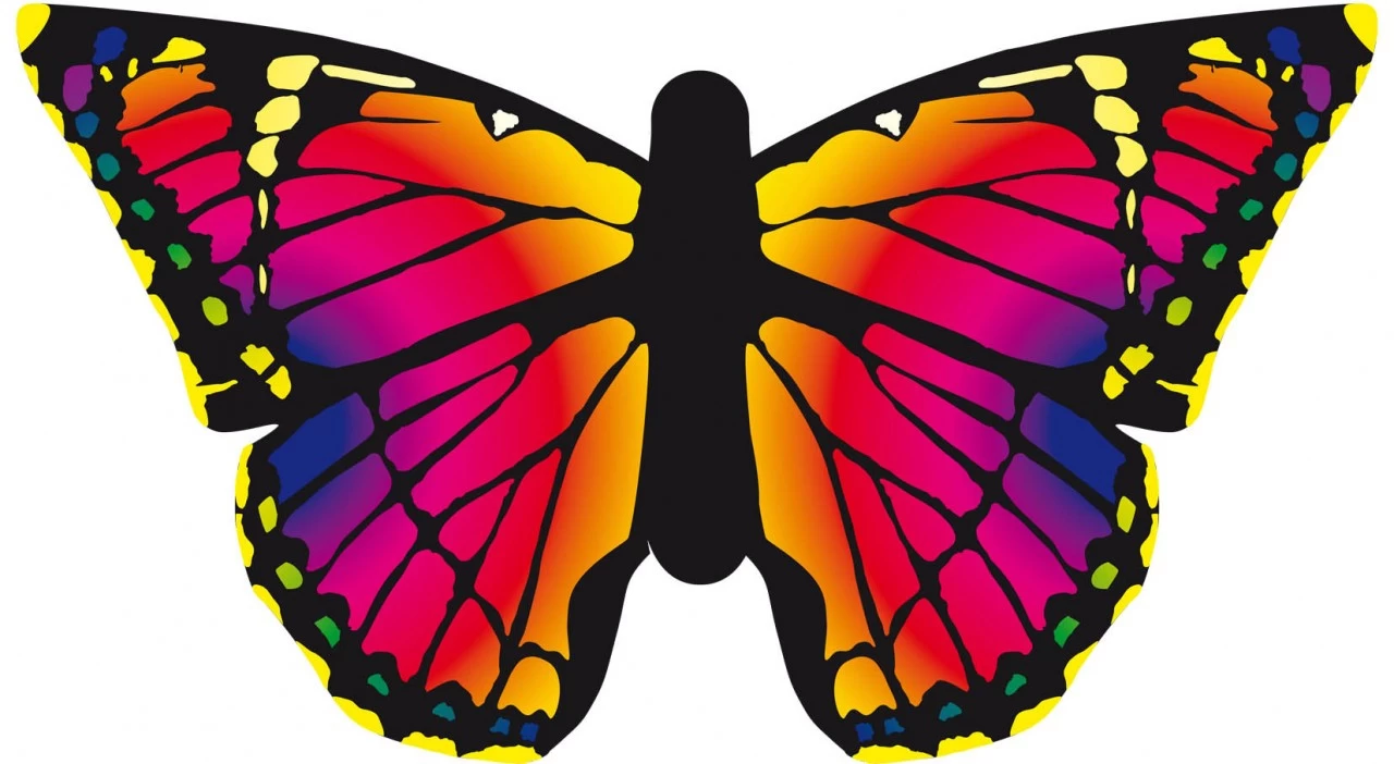 HQ Kites - Butterfly Kite Ruby "L" 3 HQ Kites - Butterfly Kite Ruby "L"