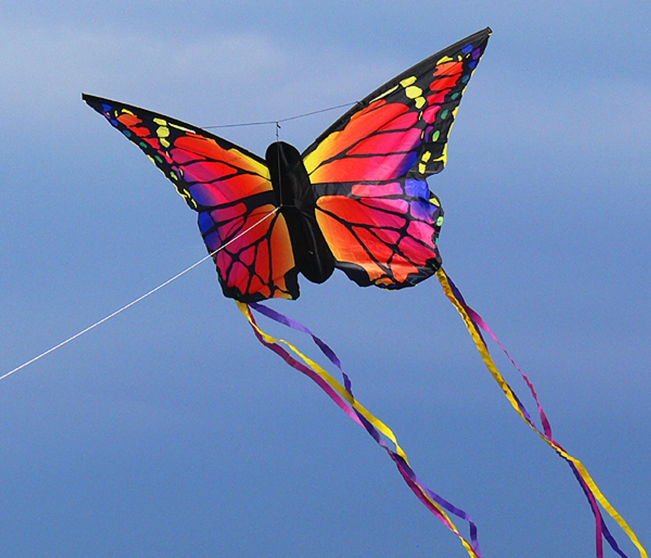 HQ Kites - Butterfly Kite Ruby "L" 4 HQ Kites - Butterfly Kite Ruby "L" - Image 2