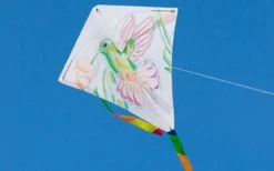 HQ Kites -Kid's Creation "Eddy"