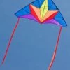 HQ Kites - Simple Flyer "Delta Stern" 2 HQ Kites - Simple Flyer "Delta Stern" -Wind Play Shop hq 100075 delta stern 1 35672 37344.1361128483