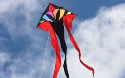 HQ Kites - Flowtail Delta 600 "Rainbow"