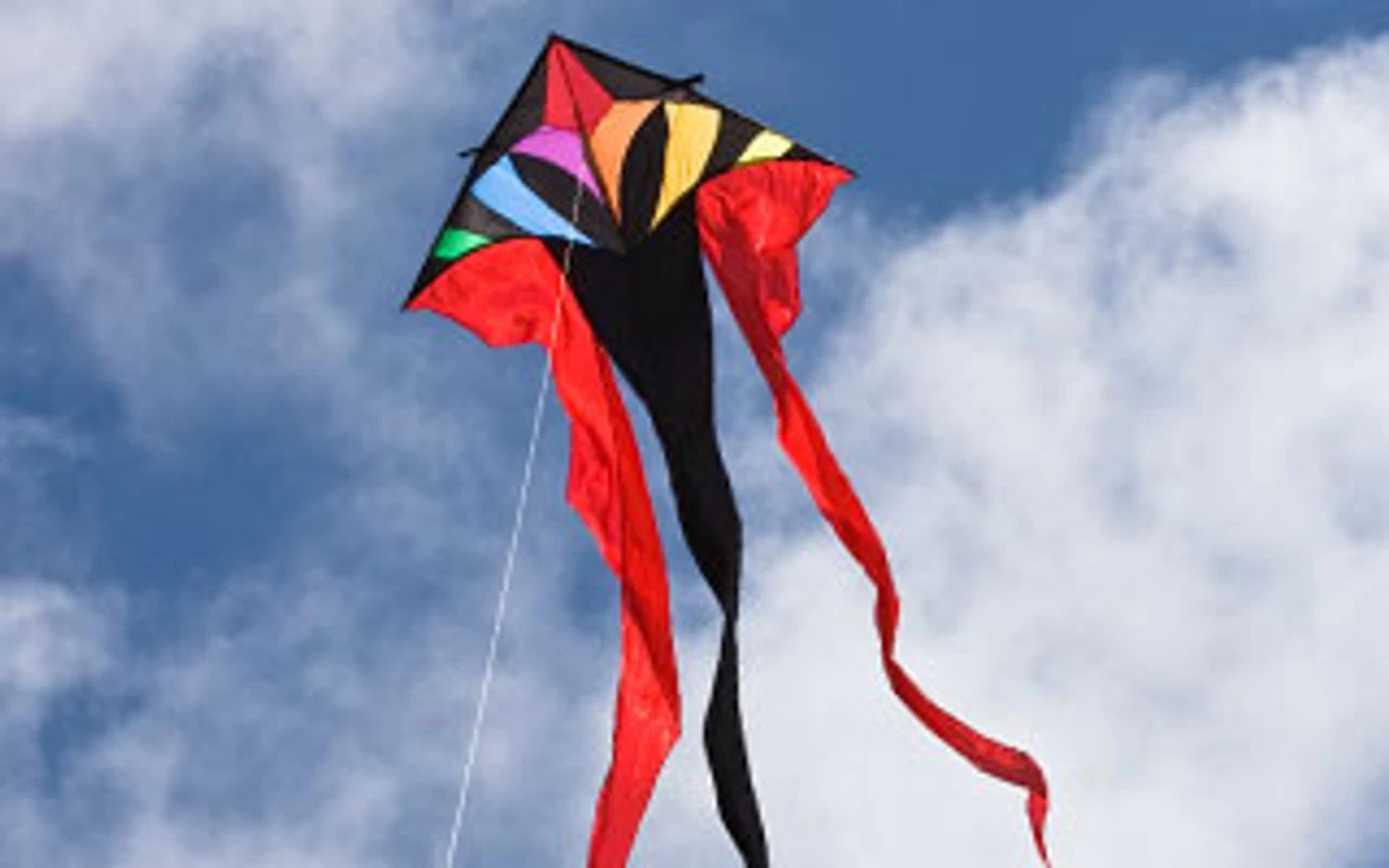 HQ Kites - Flowtail Delta 600 "Rainbow" 3 HQ Kites - Flowtail Delta 600 "Rainbow"