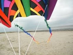 HQ Kites - FuzzyTail 20m -Wind Play Shop hq 126430 fringe tail rainbow 2 49635 64566.1444369188