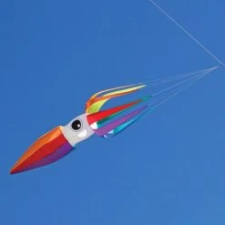 ITTW - 11-ft Rainbow Flying Squid Kite Line Laundry