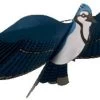 Jackite - BlueJay Bird Kite -Wind Play Shop jk bluejay 39270.1683238261