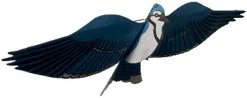 Jackite - BlueJay Bird Kite