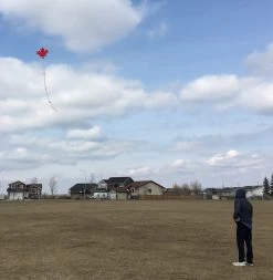 KG - Canadian Maple Leaf Custom Designer Series - Sharon Musto -Wind Play Shop kg maple leaf field 001 69334.1562959020