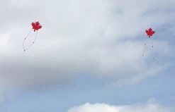 KG - Canadian Maple Leaf Custom Designer Series - Sharon Musto