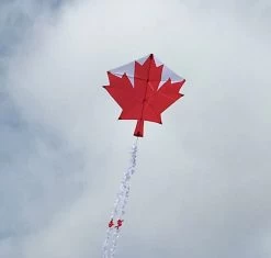 KG - Canadian Maple Leaf Custom Designer Series - Sharon Musto -Wind Play Shop kg maple leaf field 003 44376.1618512759