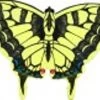 New Tech Kites - Butterfly (Swallowtail) -Wind Play Shop ntk 54026 Swallowtail thumb 22758 56024.1440100634