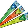 Prism Designs - Neutrino Sport Kite -Wind Play Shop pd neutrino group 74101.1615927473
