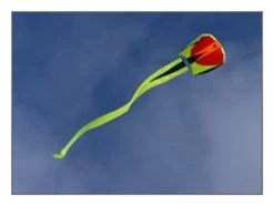 Prism Designs - Bora 5 Single Line Kite -Wind Play Shop pd bora blaze 57099 96995.1660432228