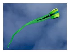 Prism Designs - Bora 7 Single Line Kite -Wind Play Shop pd bora jade 55996 84419.1441742382