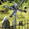 Premier Kites - 22 In. WhirliGig Spinner - Halloween Skeleton -Wind Play Shop pk 21878p Skeleton 2 00433.1572073295