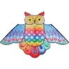 Premier Kites - 70 In. Rainbow Owl Kite 1 Premier Kites - 70 In. Rainbow Owl Kite -Wind Play Shop pk 44945 owl rainbow 84631.1606951633