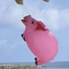 Premier Kites - 28 In. Pig Windsock -Wind Play Shop pk 77751 PigWindsock grande 37162.1511149424