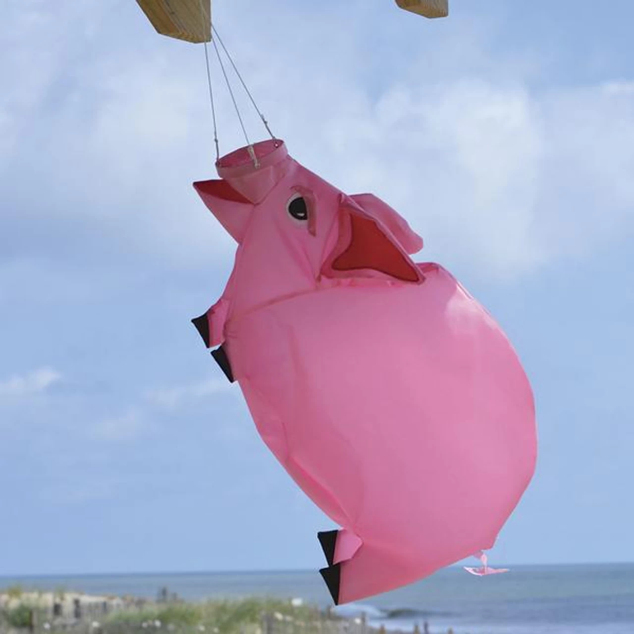 Premier Kites - 28 In. Pig Windsock 3 Premier Kites - 28 In. Pig Windsock