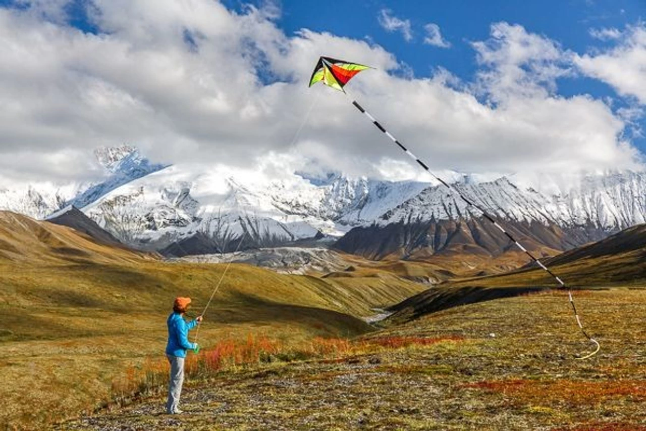 Prism Designs - Black & White With Neon Yellow Tip - 20' Tube Tail 5 Prism Designs - Black & White With Neon Yellow Tip - 20' Tube Tail - Image 3