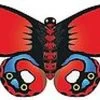 WindnSun - Butterfly "Indian Red" 1 WindnSun - Butterfly "Indian Red" -Wind Play Shop wns 70503 indianred 54868 54798.1400598265