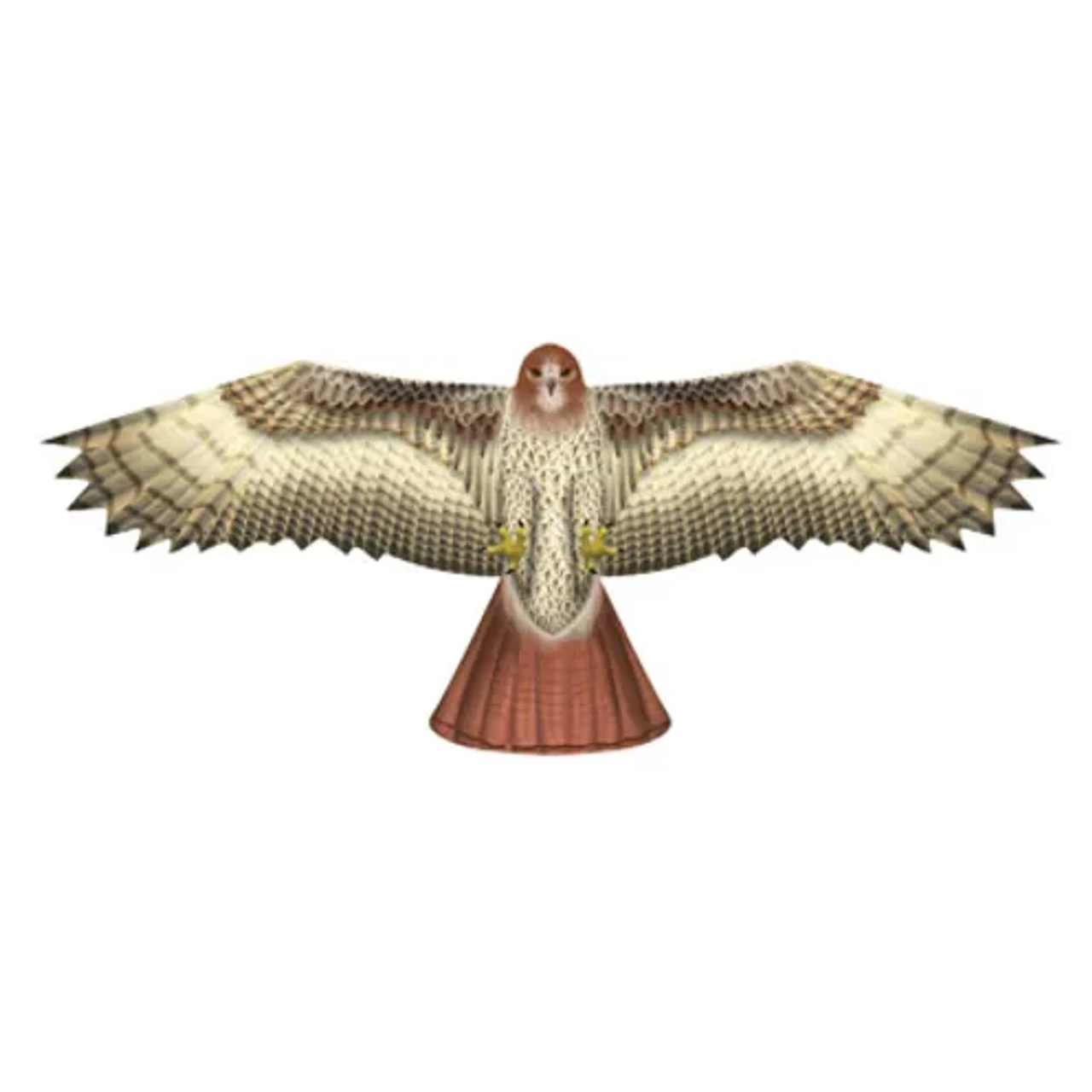 XKites - Birds Of Prey Kite "Hawk" 3 XKites - Birds Of Prey Kite "Hawk"